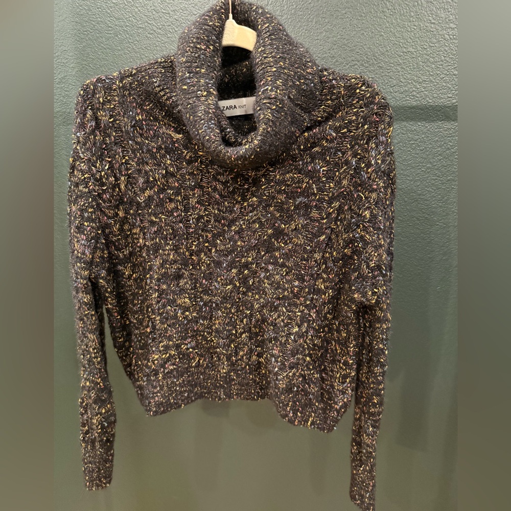 Zara Women's Multicolor Knit Crop Sweater